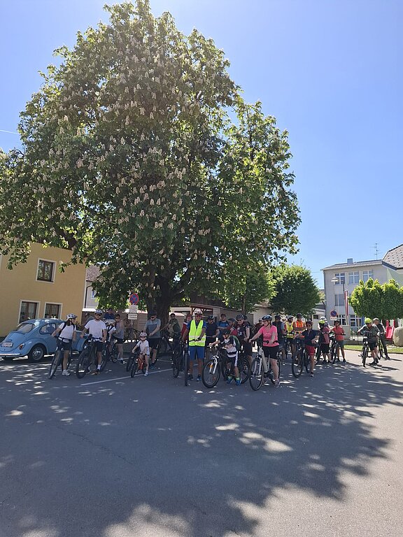 Radtag_Kastanienbaum.jpg  